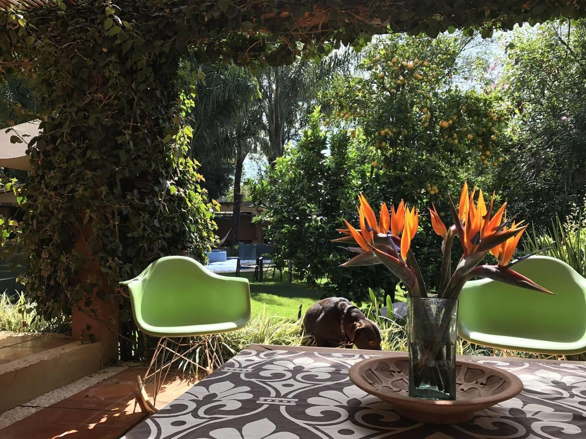 La Joya Del Viento Bed & Breakfast บาเญเดบราโว ภายนอก รูปภาพ